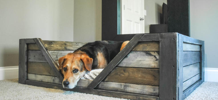 How to Build a Wooden Pet Bed