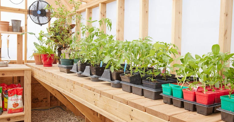 DIY Wooden Garden Shelf