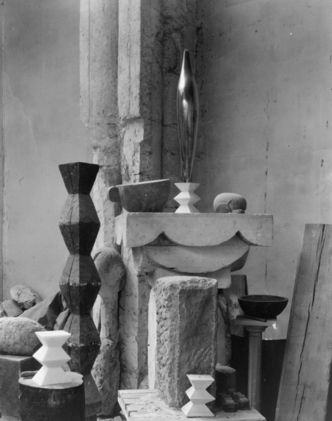 constantin brâncuși bird in space2
