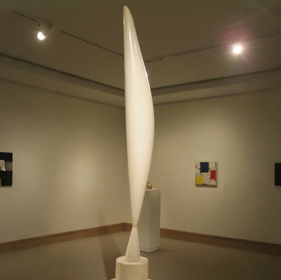 constantin brâncuși bird in space4