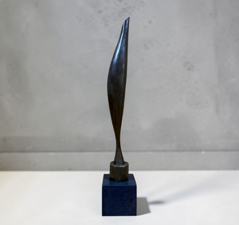 constantin brâncuși bird in space5